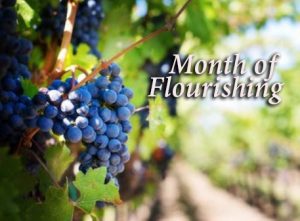 Read more about the article Month of Flourishing