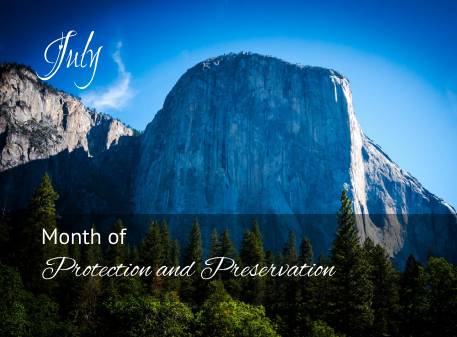 Read more about the article Month of Protection and Preservation